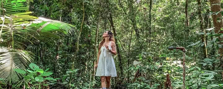 Ayahuasca Dezember 2026 Awakening Harmony Retreat (12-Tage)