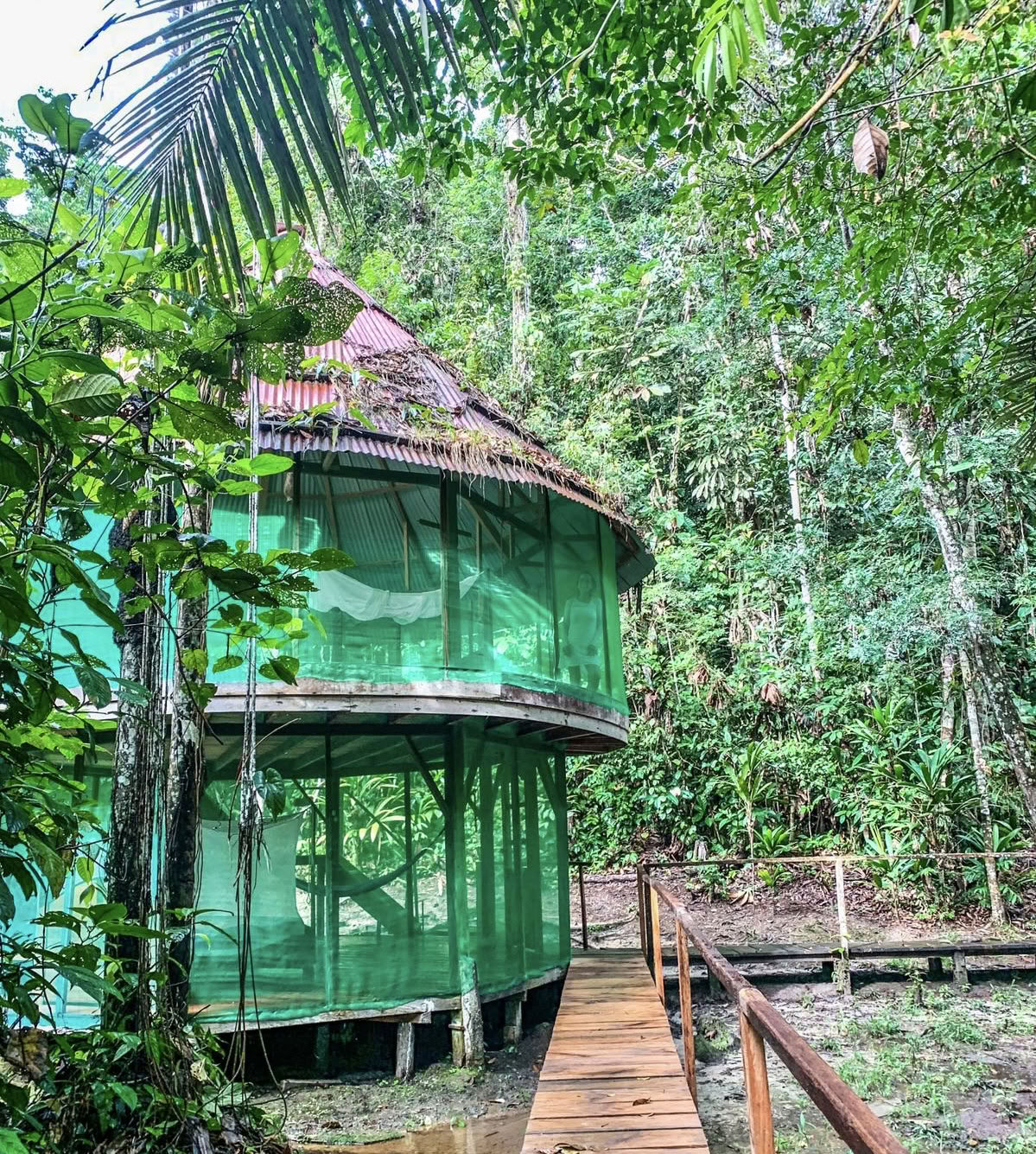 Ayahuasca August 2026 Renewal Retreat (12-Tage)