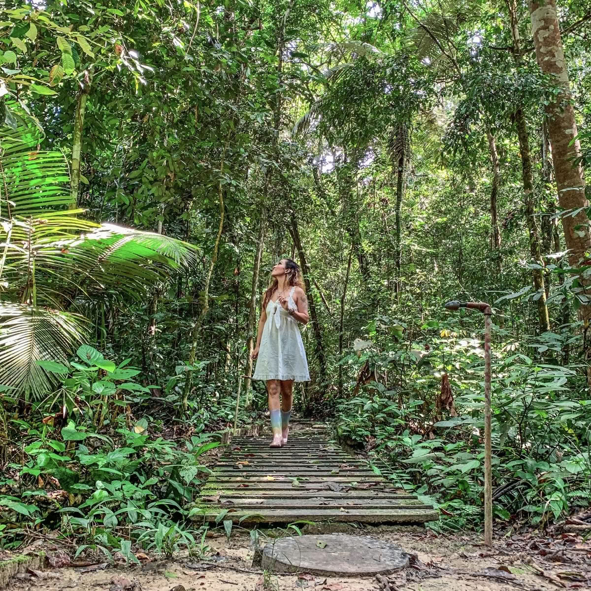 Ayahuasca Dezember 2026 Erleuchtungs-Retreat (8-Tage)