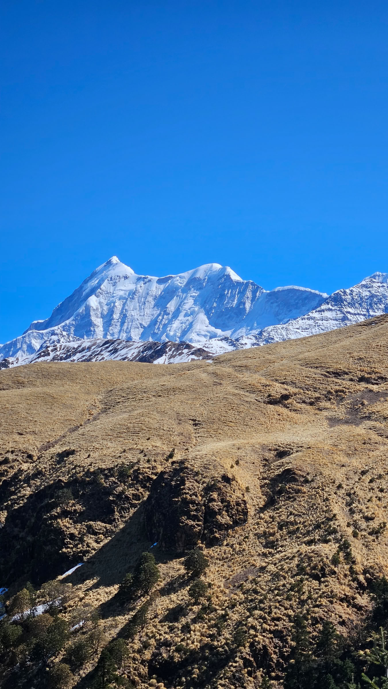 Bedni-Bugyal-Trek – 9. bis 13. Juli 2026