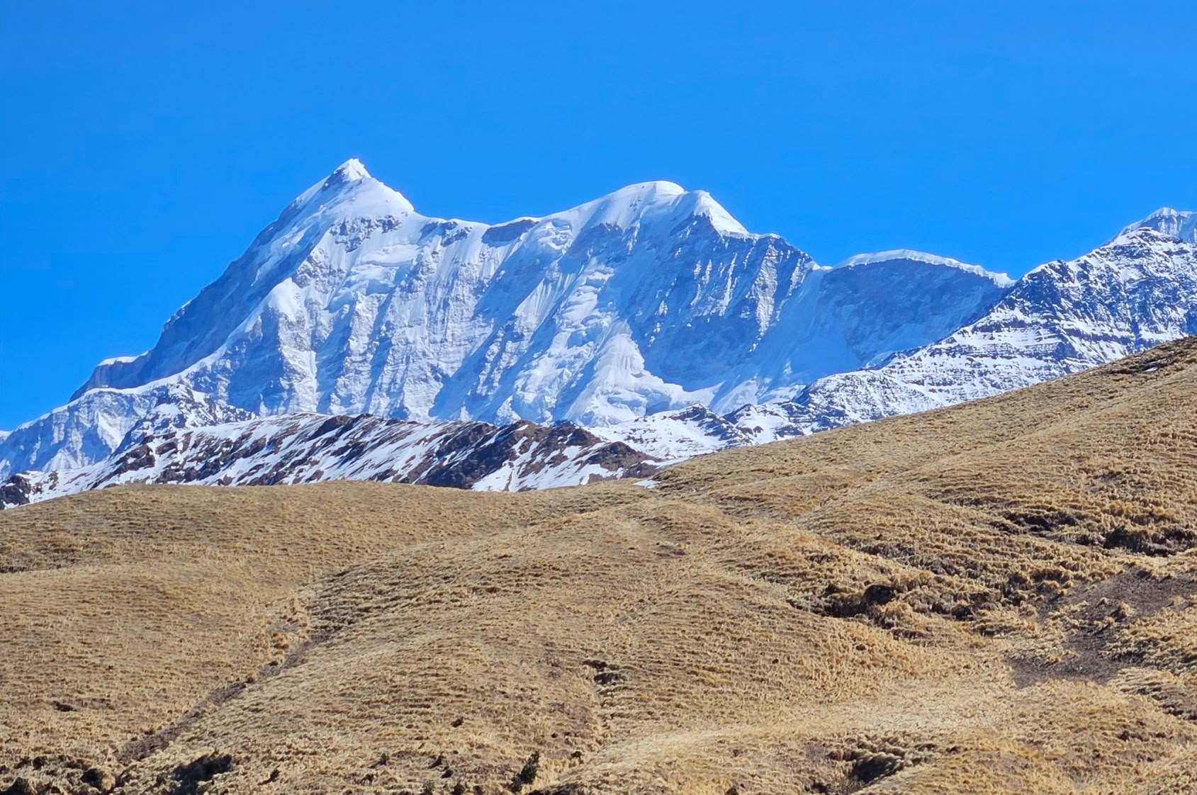 Bedni-Bugyal-Trek – 9. bis 13. Juli 2026