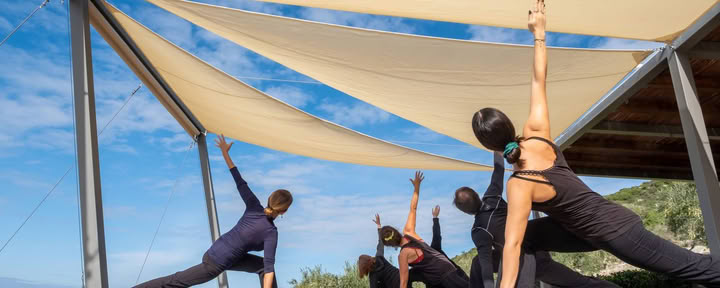 100-Stunden-Lehrer-Ausbildung: Abhaya Yoga TT