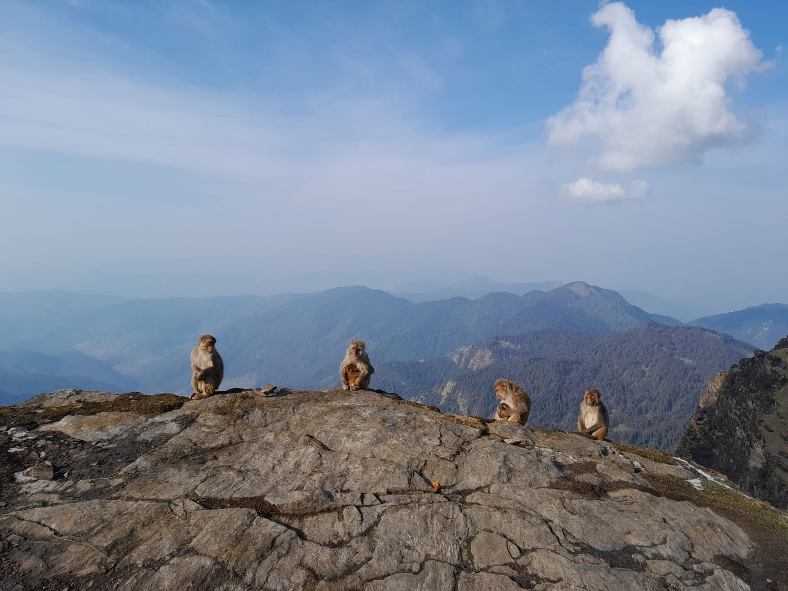 Chopta-Tungnath-Trek