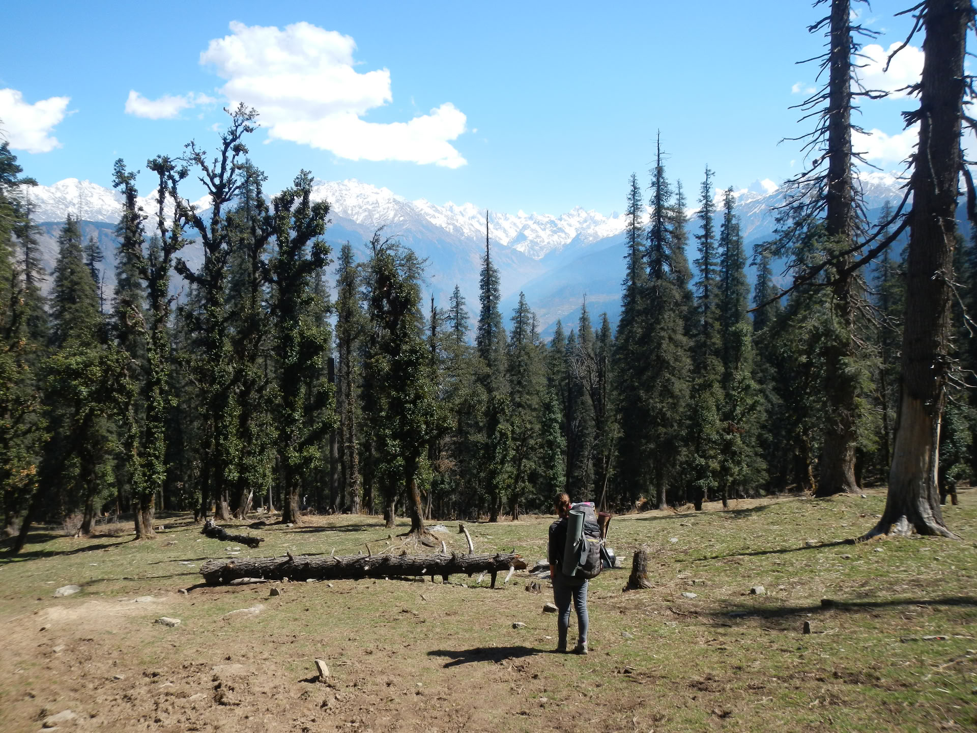 Kedarkantha Trek