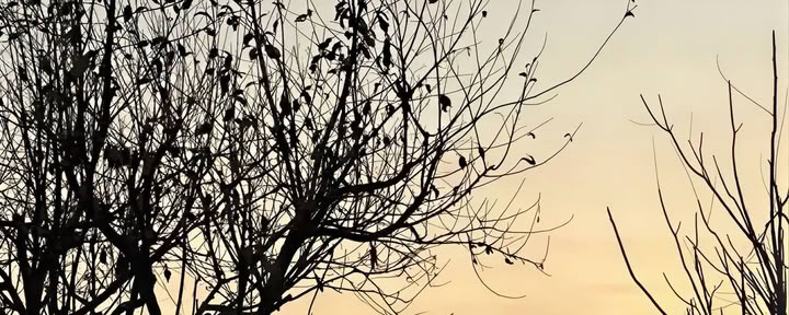 Raindrop-Bewegung
