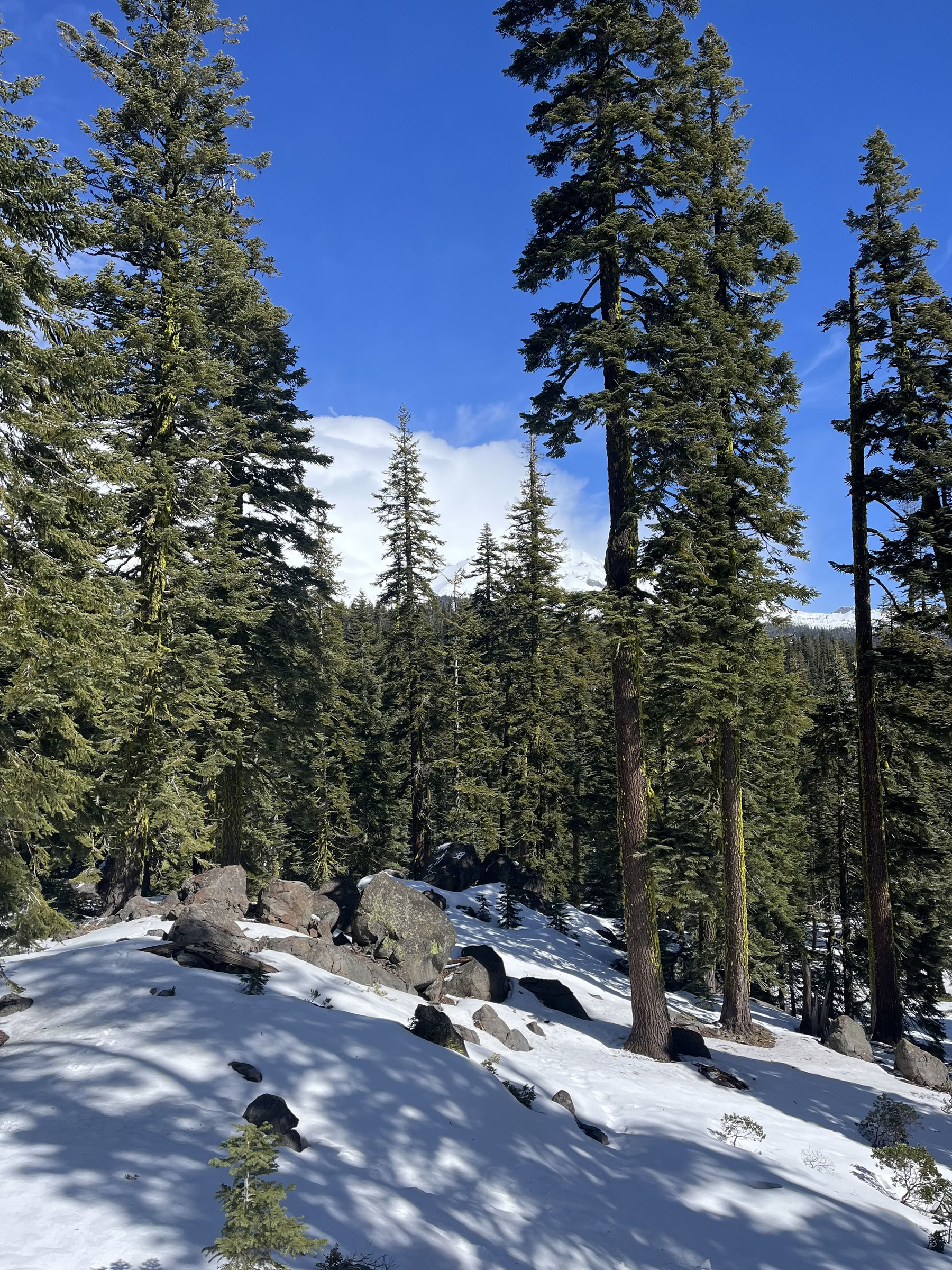 Retreat für tiefen inneren Frieden: Mt. Shasta, CA