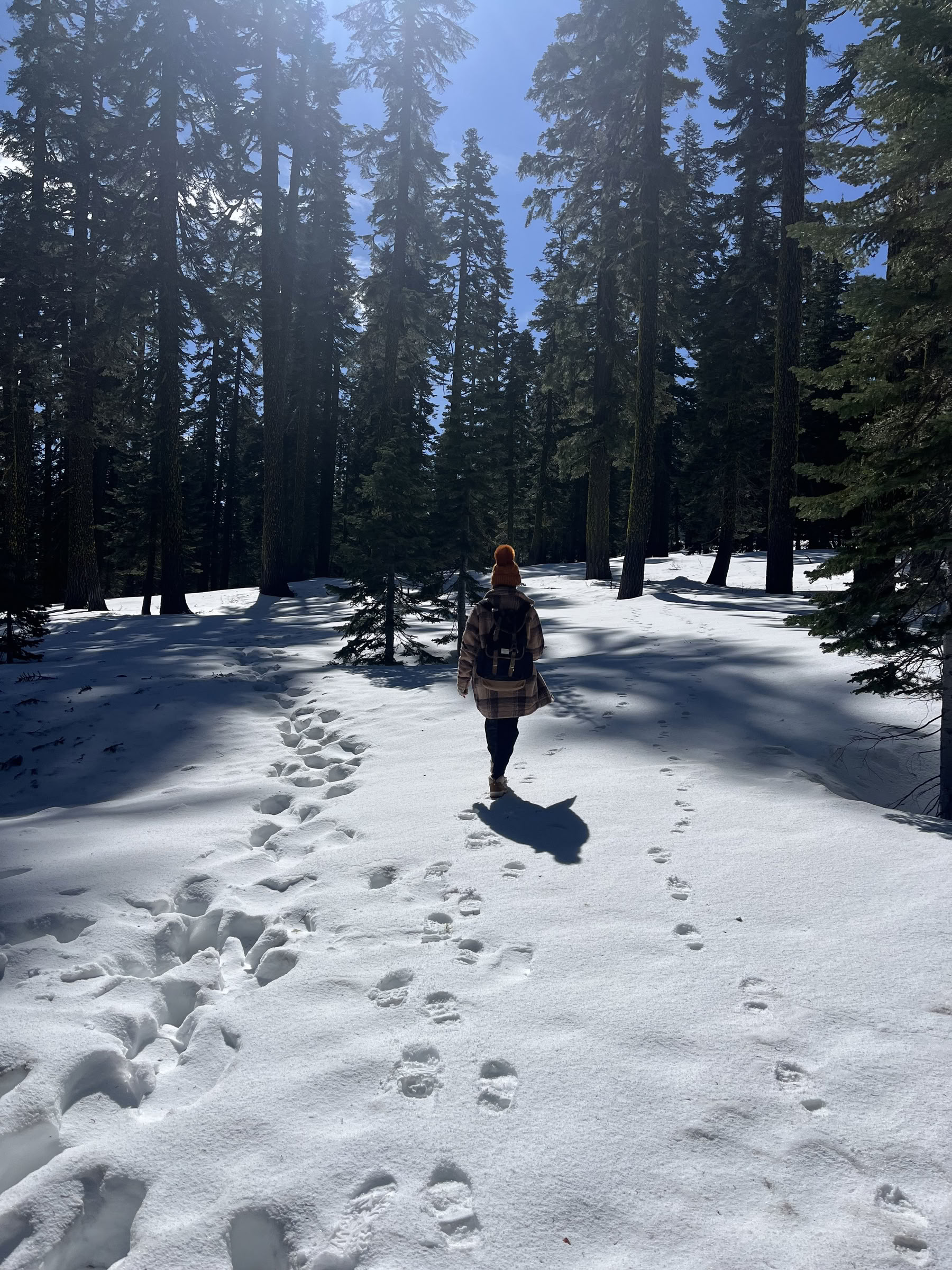 Retreat für tiefen inneren Frieden: Mt. Shasta, CA