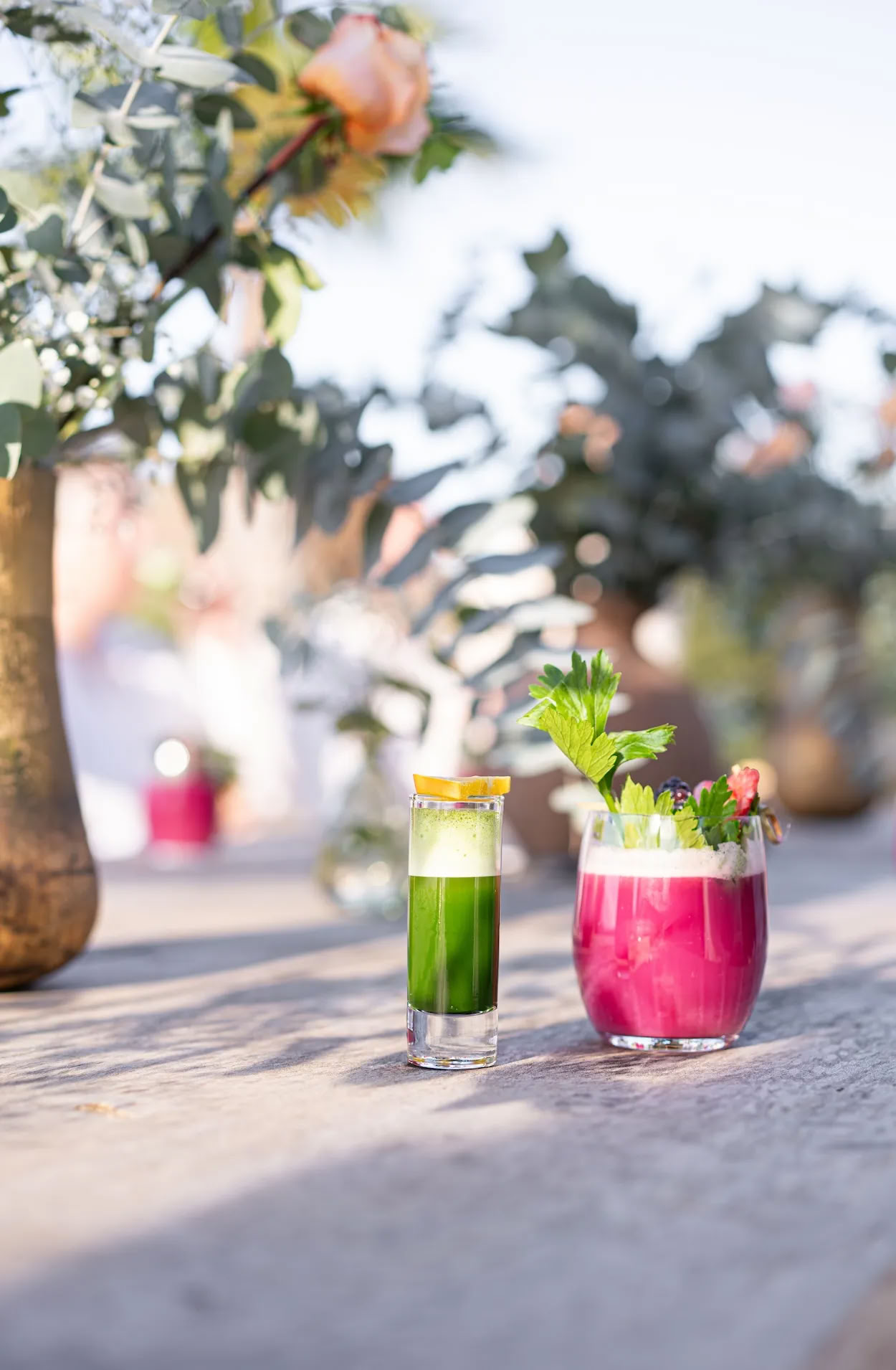 Detox Deluxe Retreat Oktober
