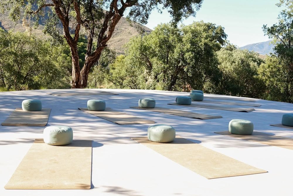 THE LUMINOUS SELF - YOGA Retreat