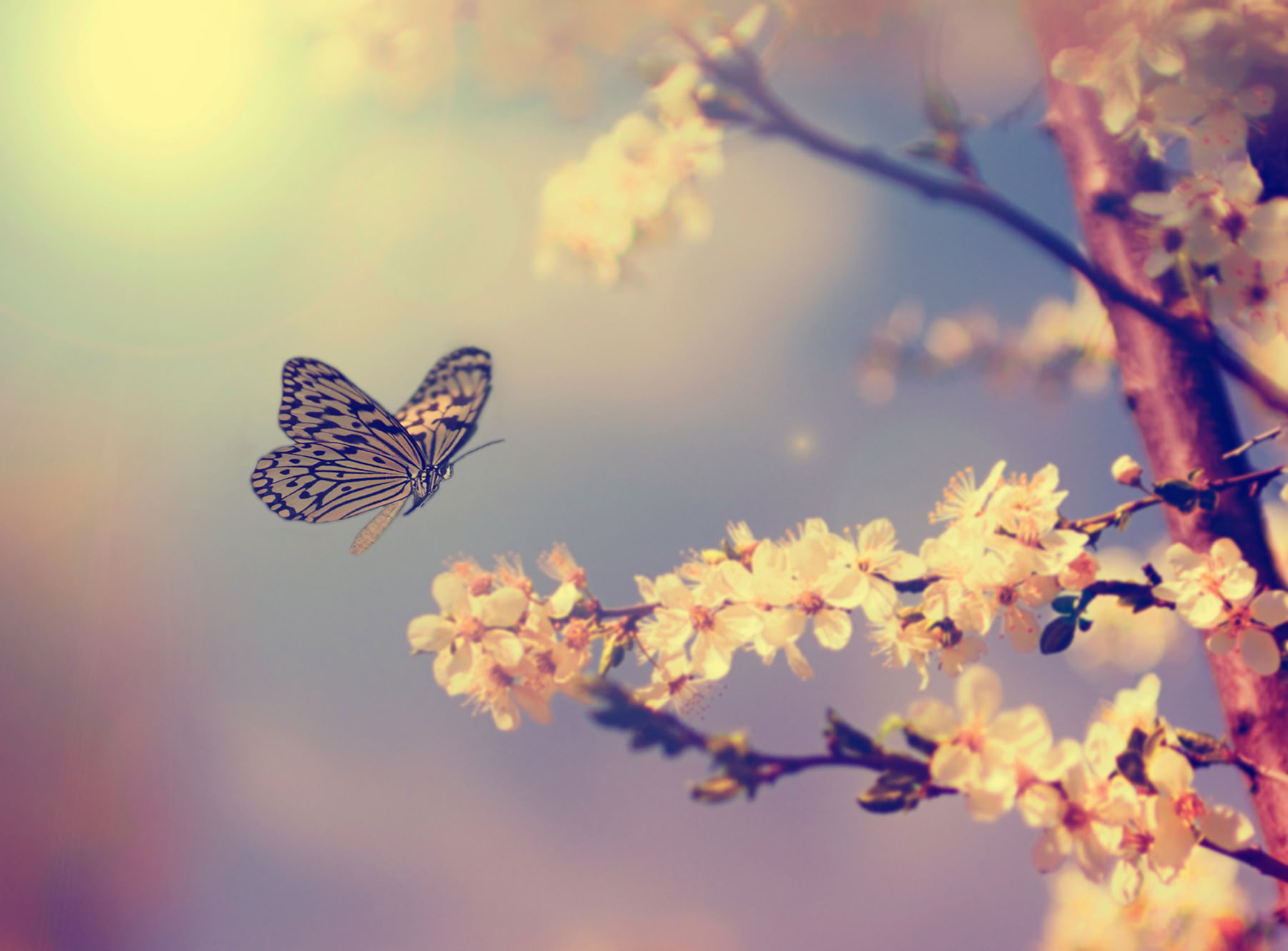 Usui Reiki Master Retreat mit Gwen