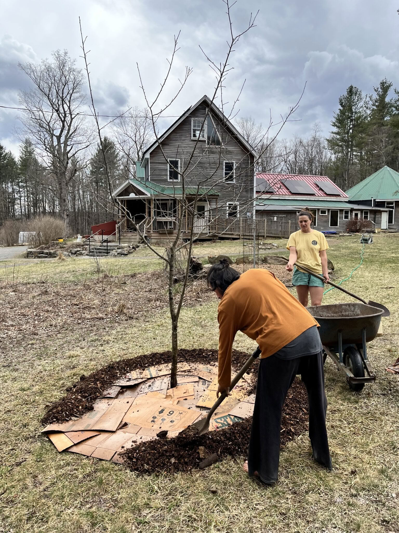 Earthdance Garden 2. Sonntag Community-Arbeitstag