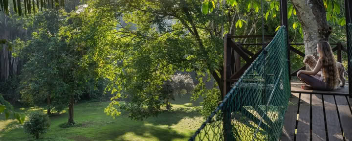 Regenwald-Wellness-Retreat