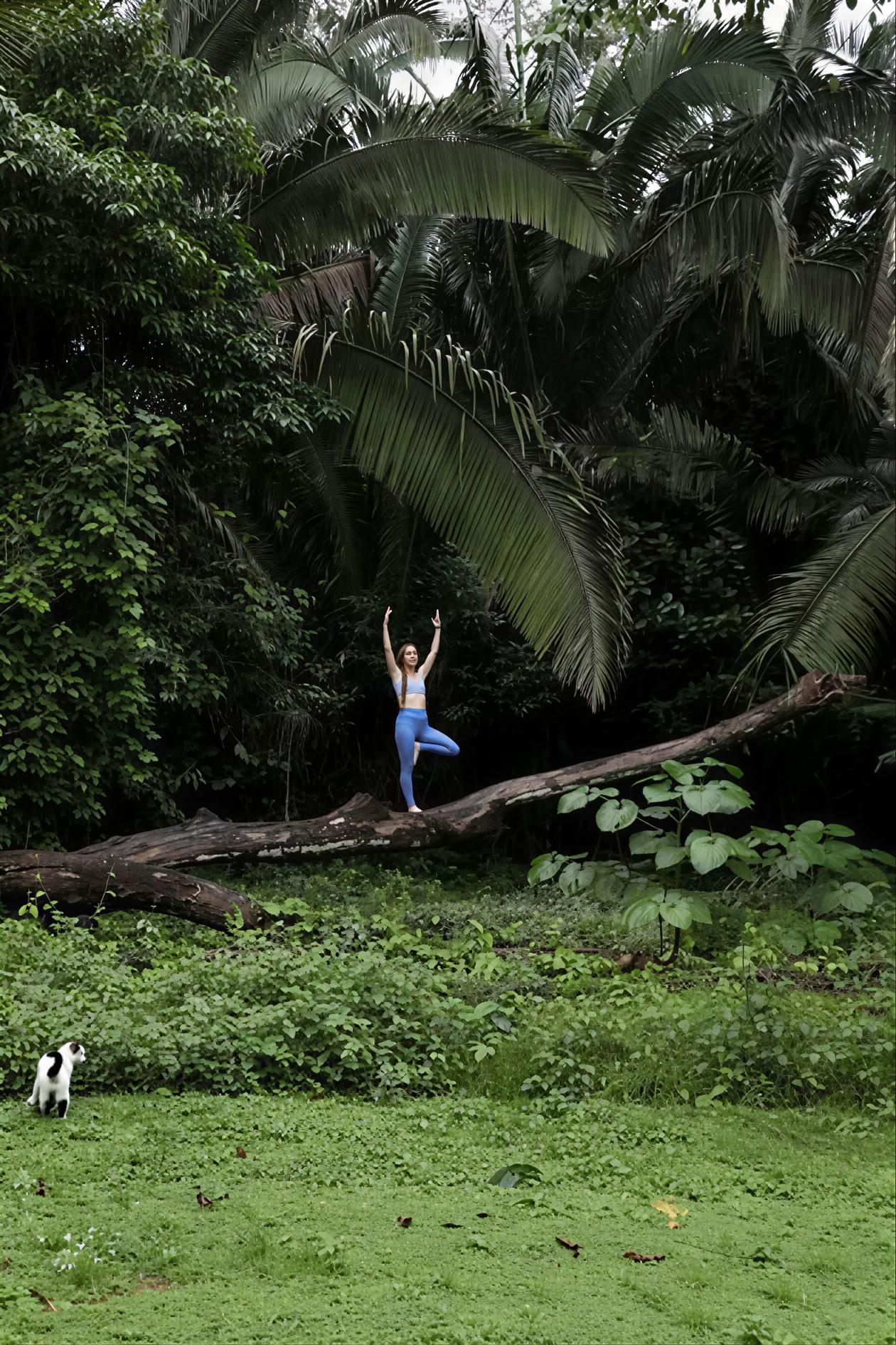 Regenwald-Yoga-Retreat