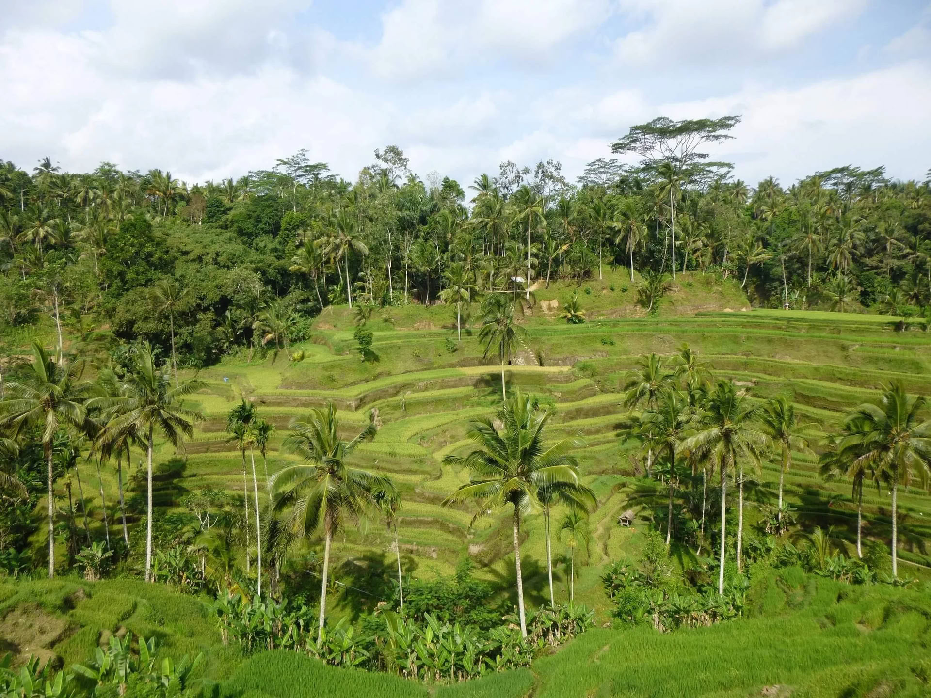 Me-Time. My Way. Wellness Retreat auf Bali