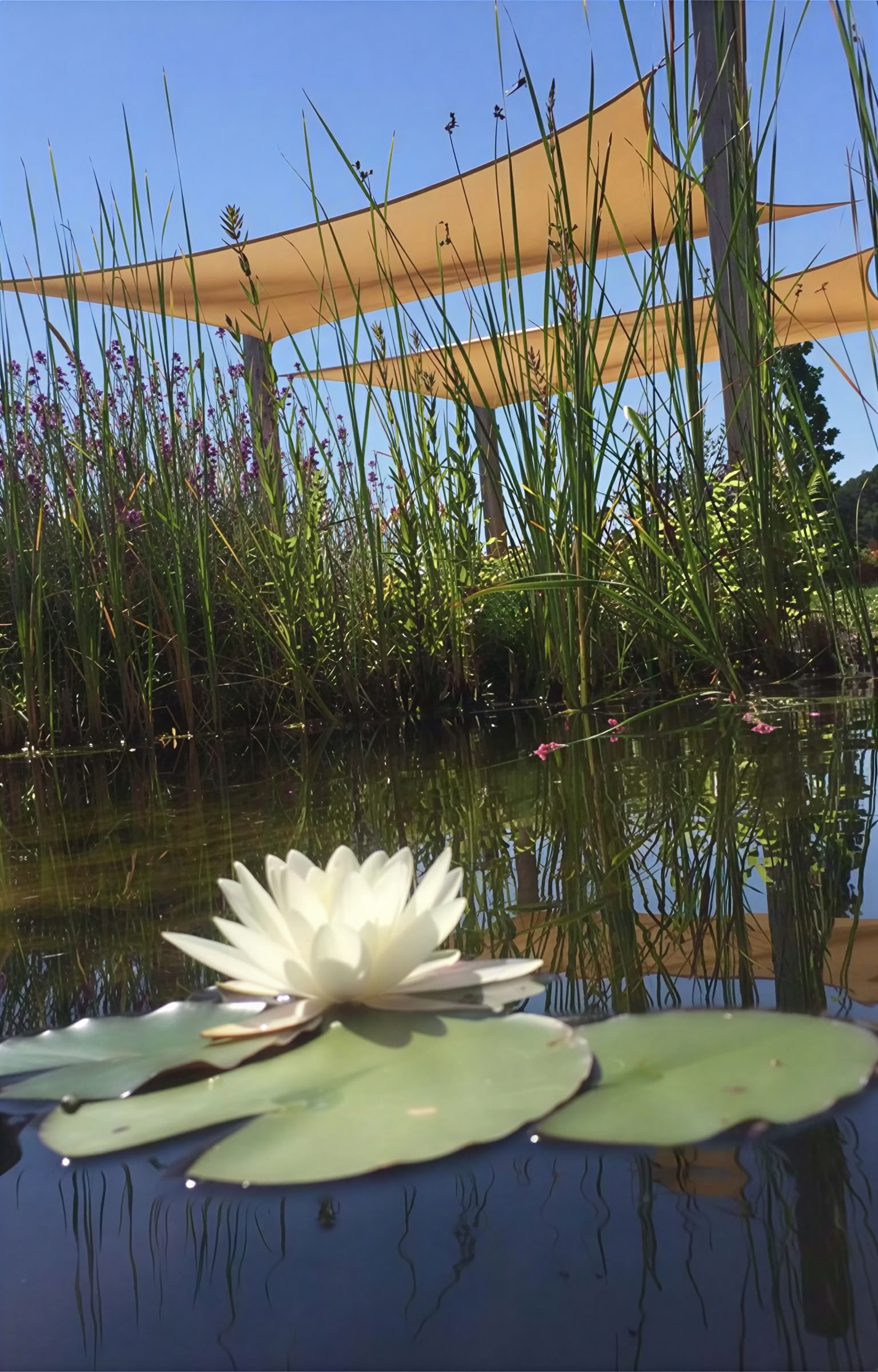 Kunst mit Chi – Retreat