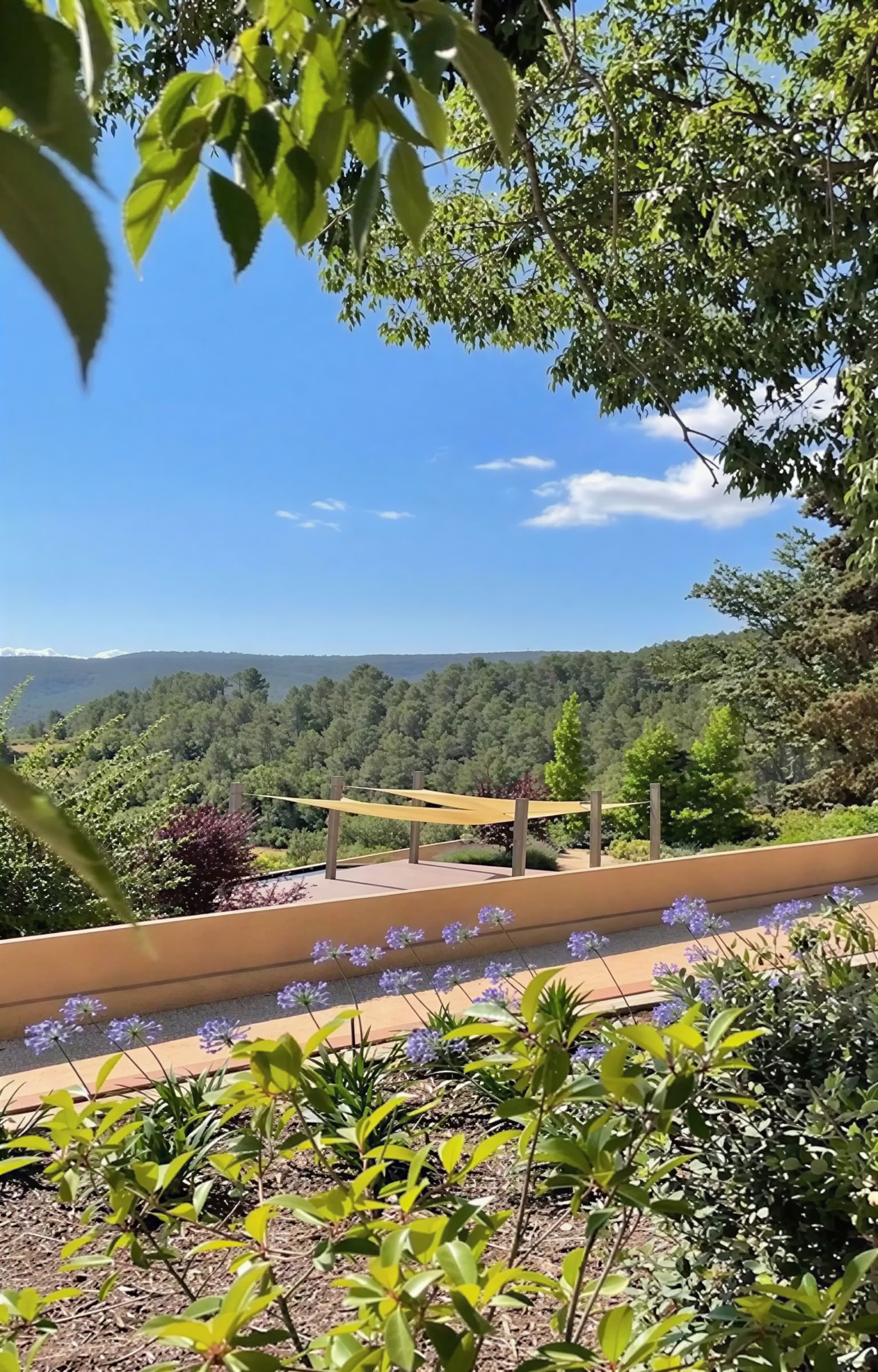 Intimes Ayahuasca Retreat (Kinkara Costa Rica) – Sommer Retreats