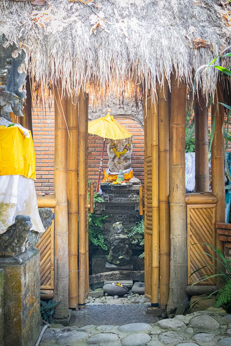 Package 3: Healing Journey: "Reinigung und Läuterung" (3 Tage / 2 Nächte)