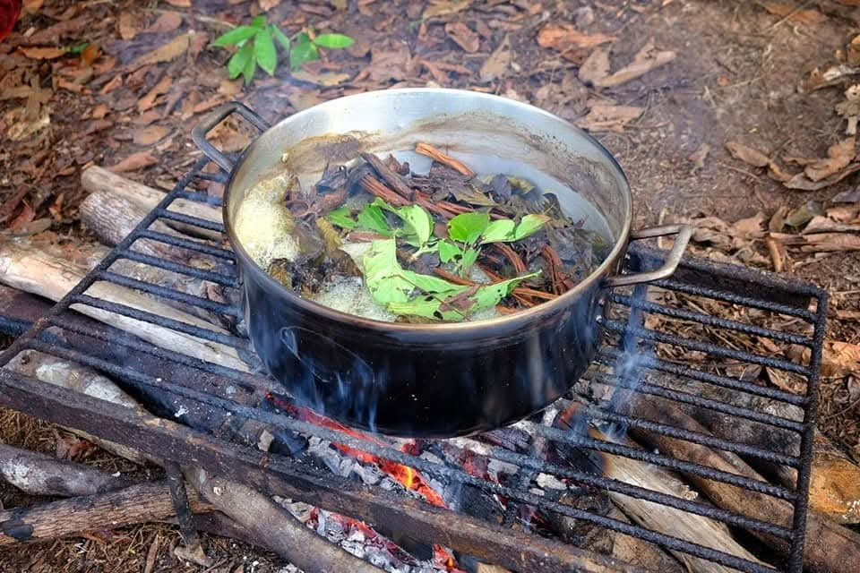 5 Tage Ayahuasca Retreat Iquitos-Peru