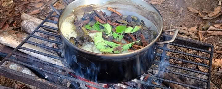 12 Tage Ayahuasca Retreat Peru bei Selva Madre
