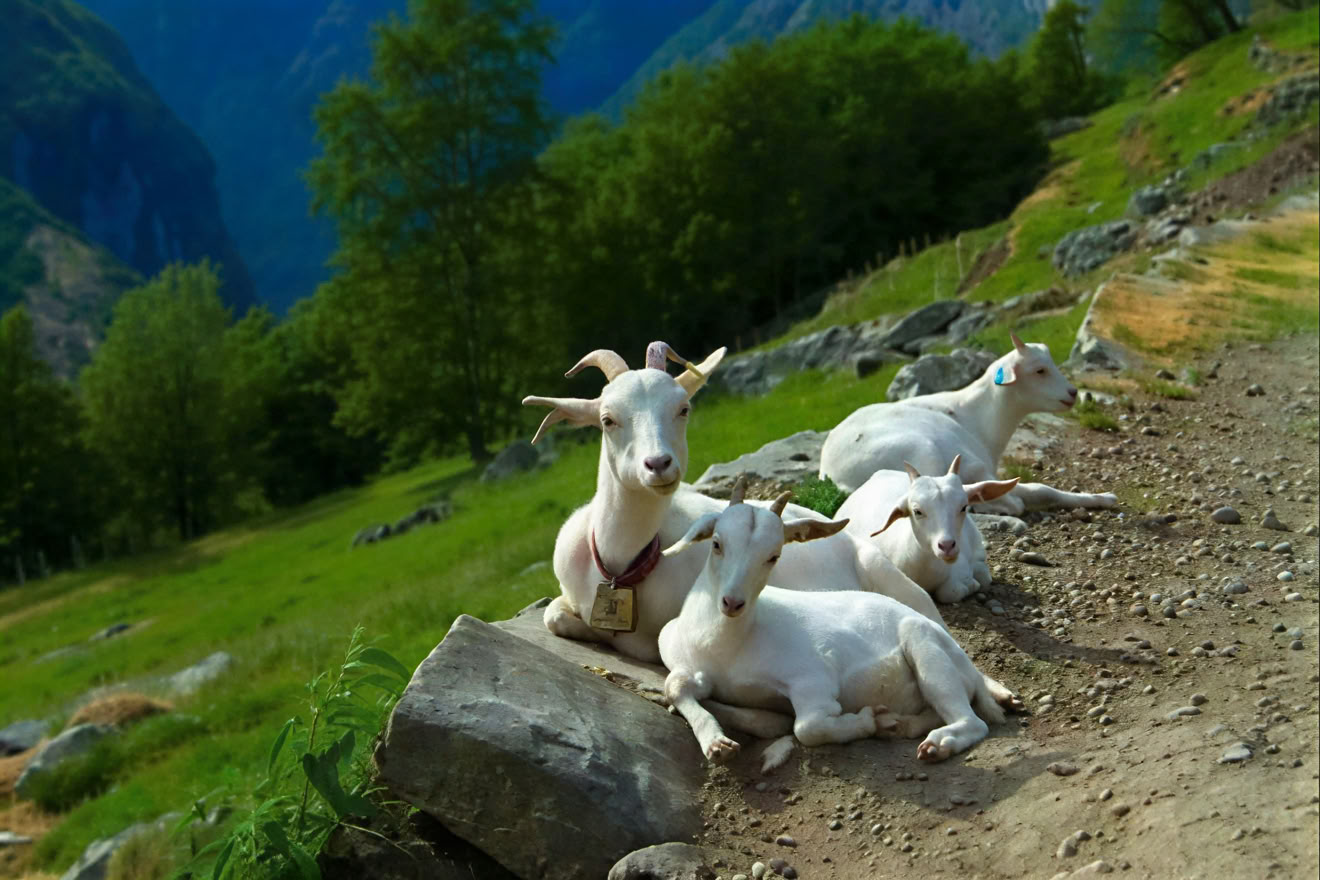 Norwegen Yoga Retreat