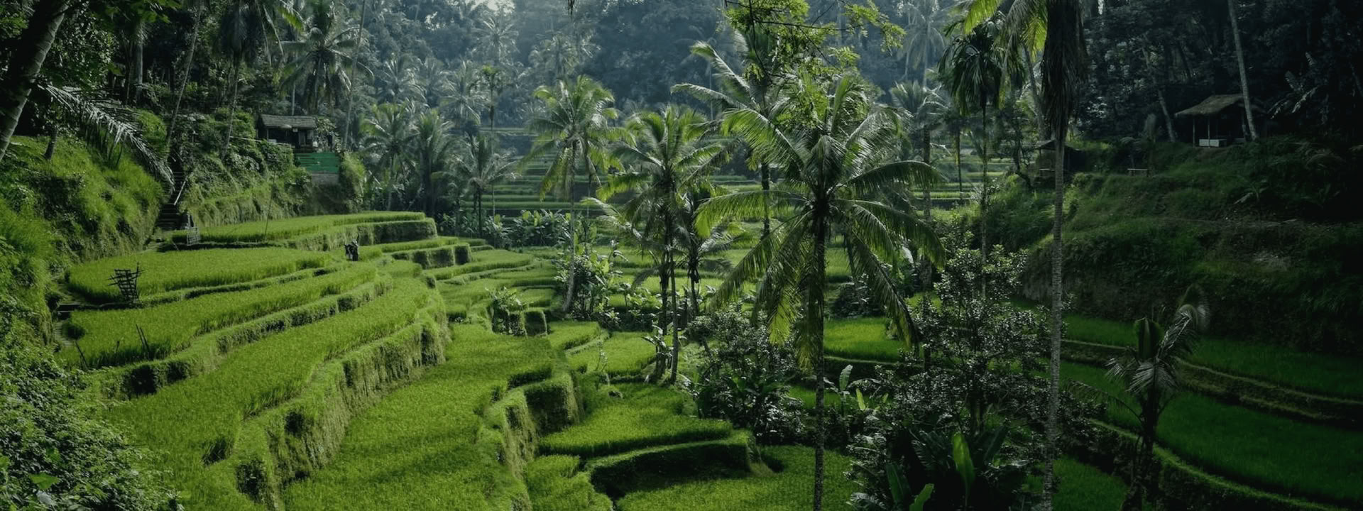 Bali Bound: Reise zum inneren Frieden