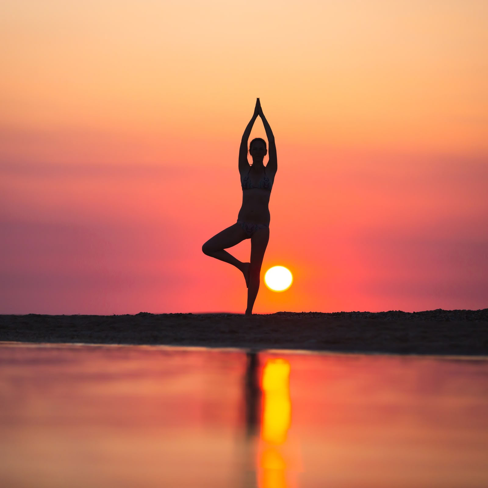 Privater Raum für 5 Tage Wellness- und Yoga-Retreat in Rishikesh