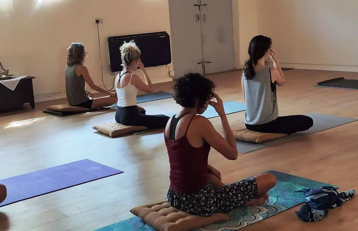 100-Stunden Multistyle Yoga Teacher Training in Rishikesh