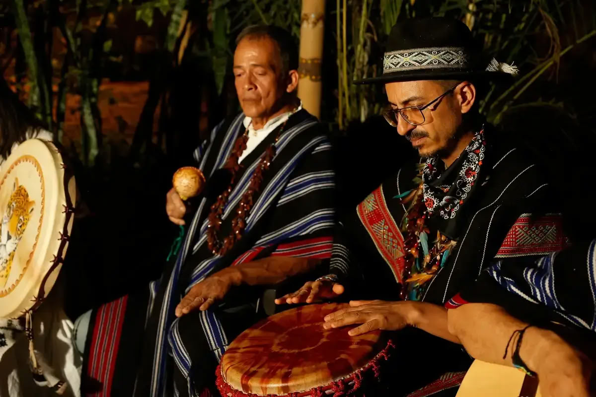 Traditionelles Ayahuasca Retreat in Österreich 3 Tage