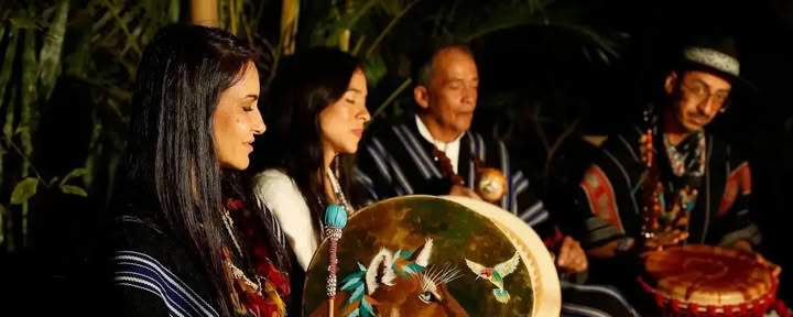 Traditionelles Ayahuasca Retreat in Österreich 3 Tage