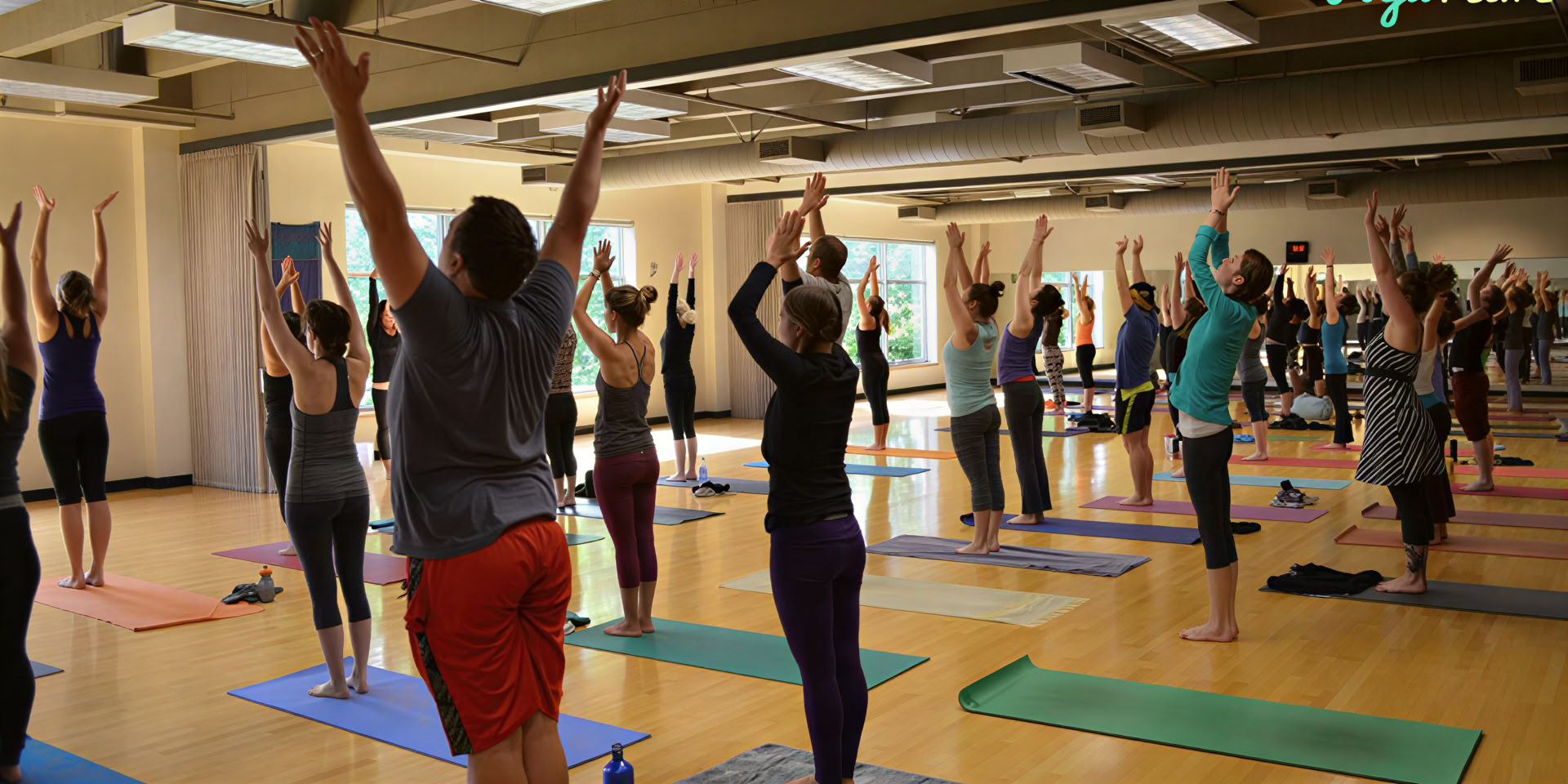 300-Stunden Hatha-Yoga-TTC