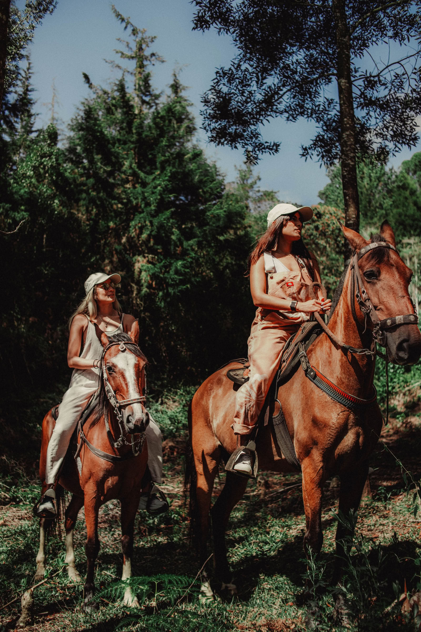 Seeded Sisterhood Retreat: Bring ein Bestie Bundle