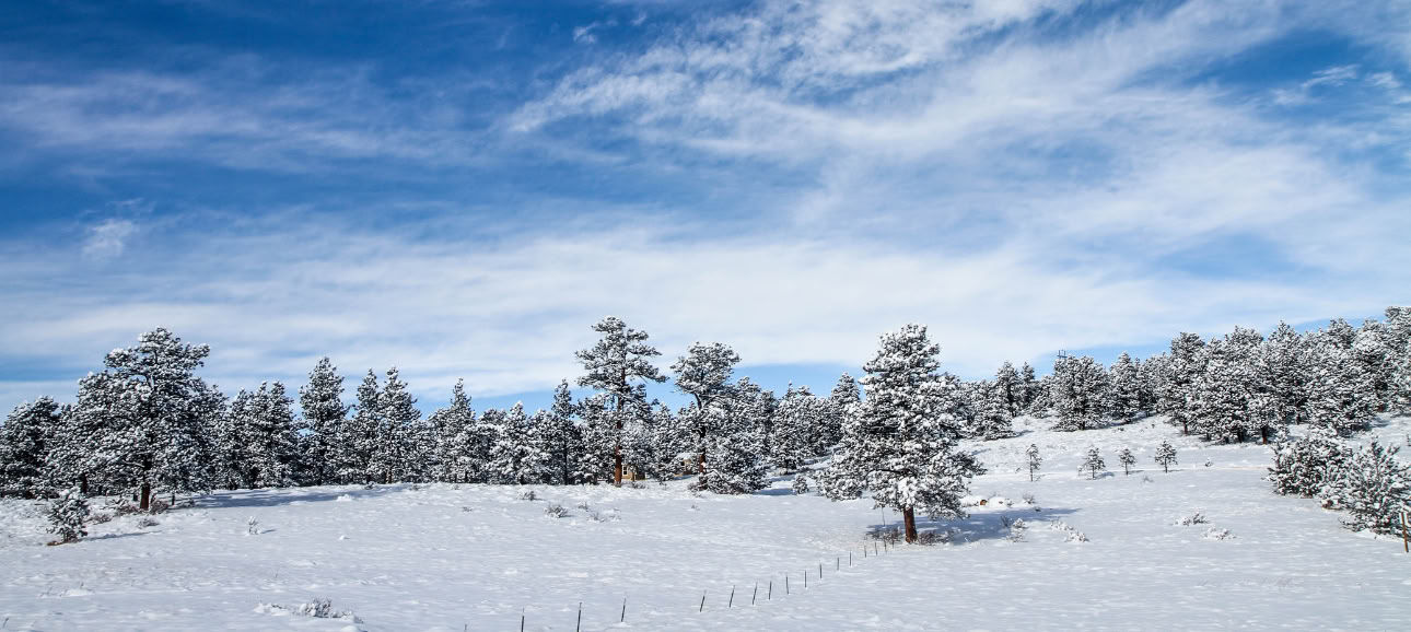 Heilung mit der Natur: Ein Retreat zur Wintersonnenwende