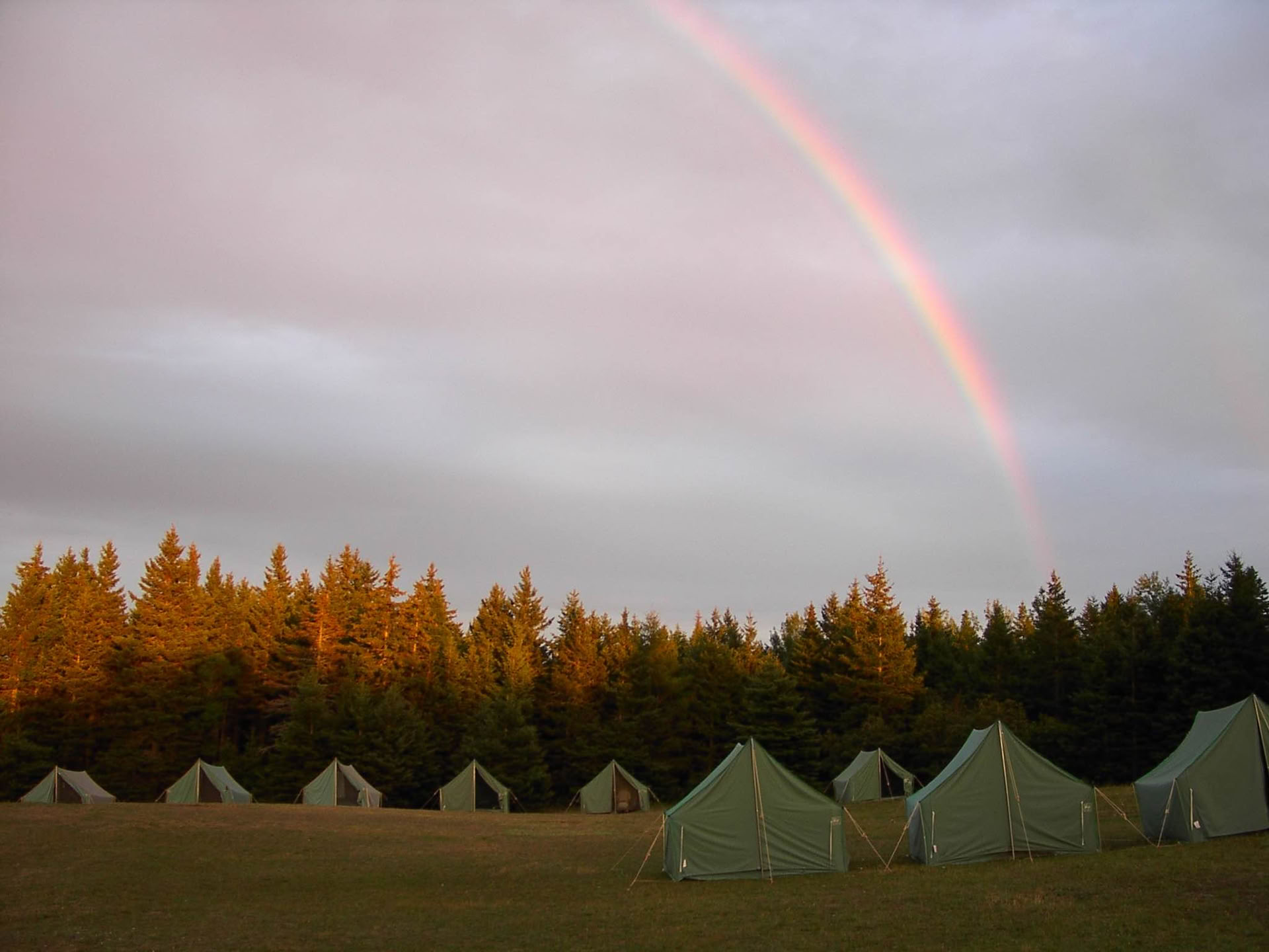 Silent Meditation Intensive: Die Wiege der liebenden Güte