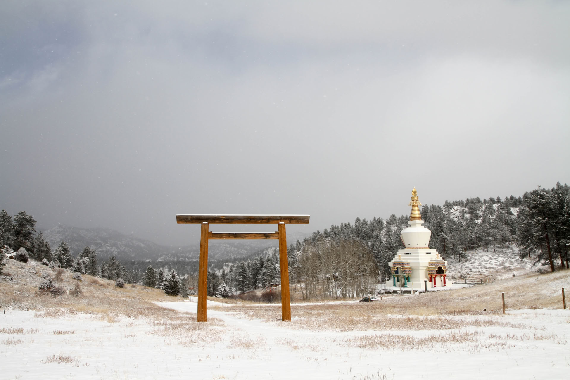 Finding Calm and Insight Through the Breath: Eine geführte Meditations-Retreat
