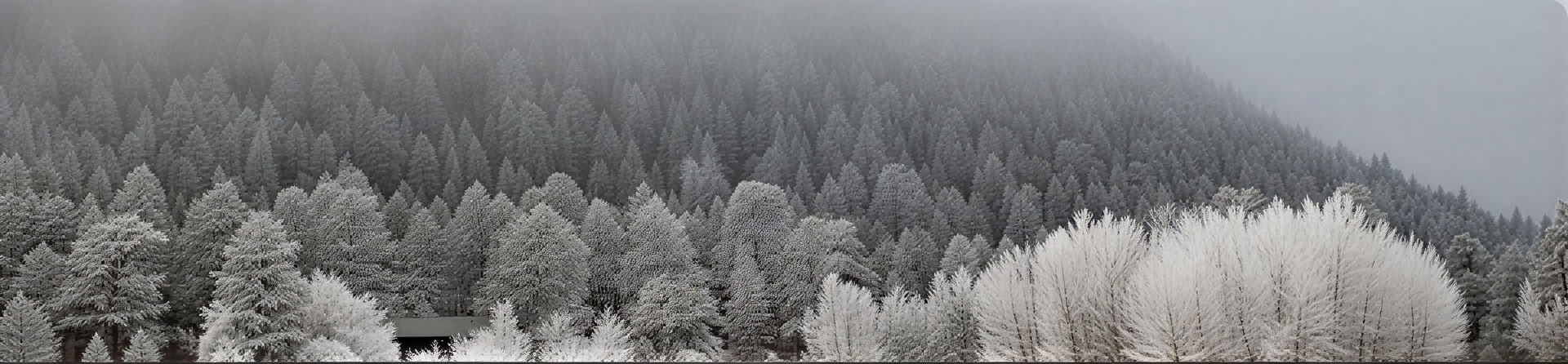 Finding Calm and Insight Through the Breath: Eine geführte Meditations-Retreat
