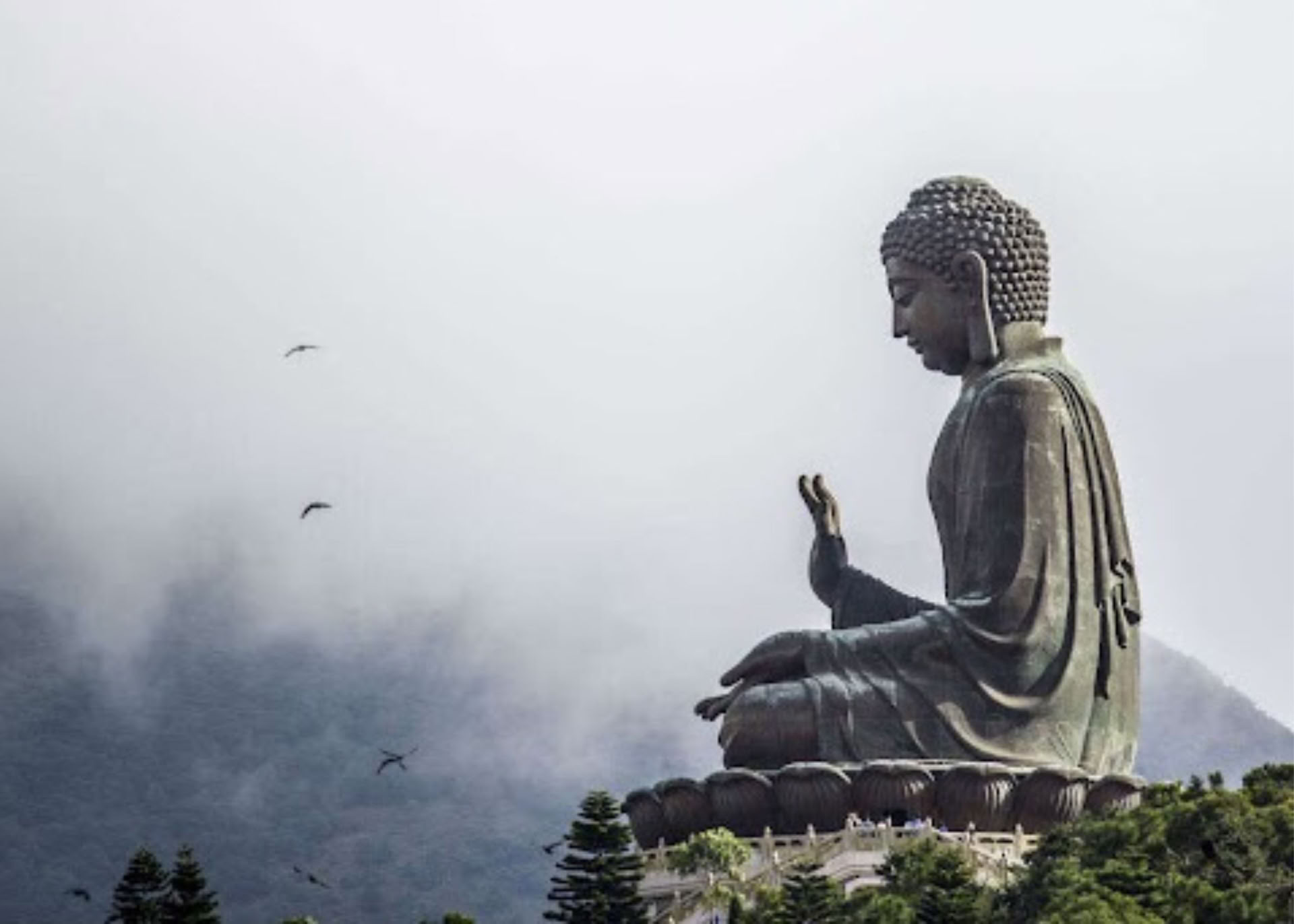 Grundlagen der Meditation II: Vertiefung des Weges | 2026