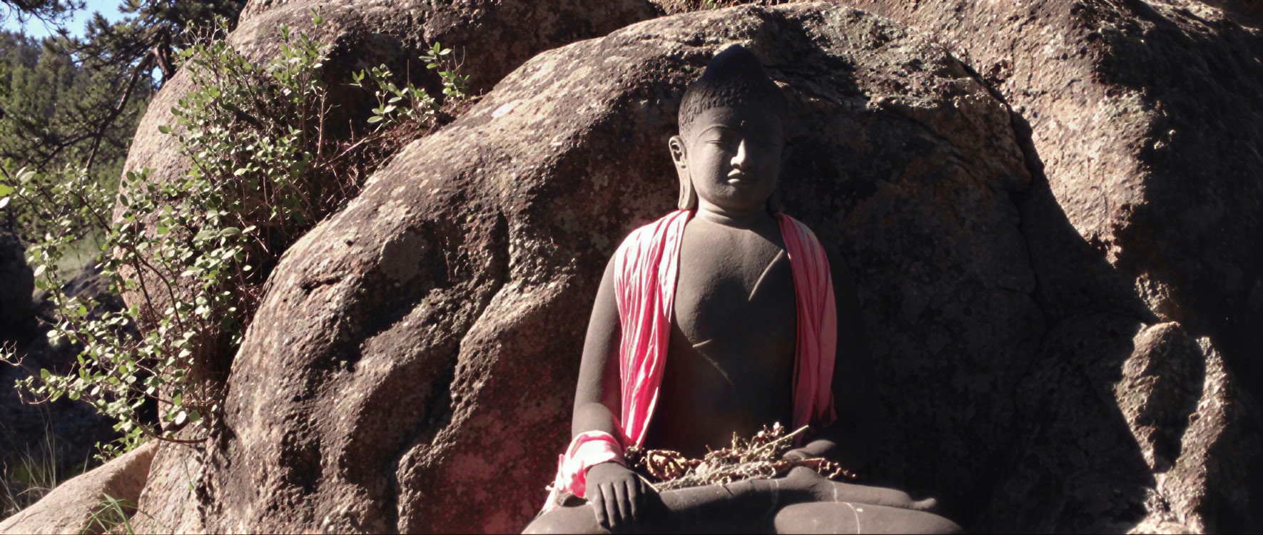Grundlegende Vernunft verkünden: Den Bodhisattva-Pfad leben