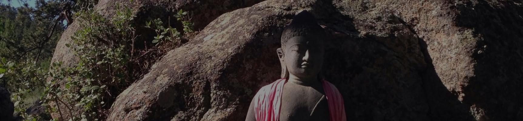 Grundlegende Vernunft verkünden: Den Bodhisattva-Pfad leben