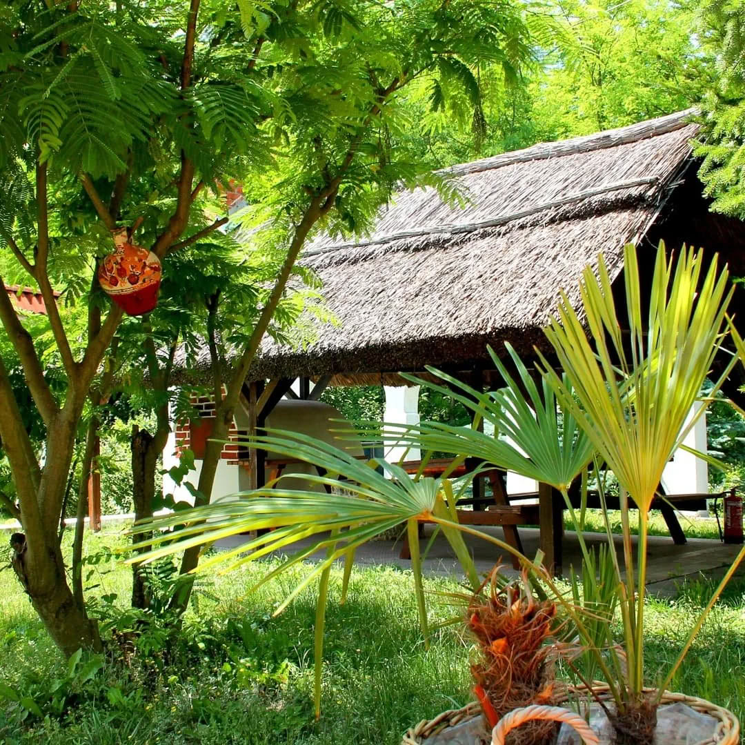 Umarmung-des-Wassers-Retreat