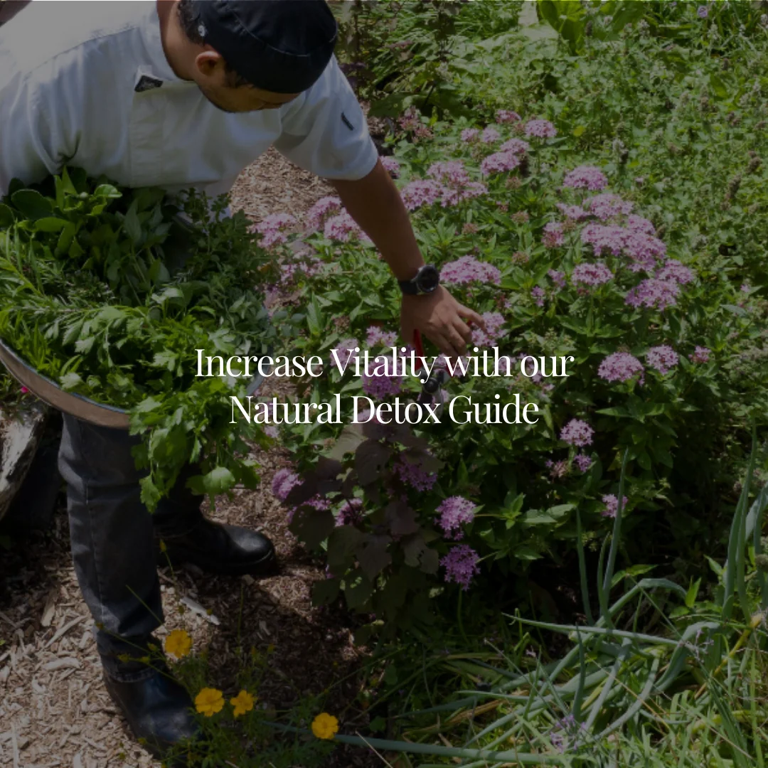 Das ultimative Wellness-Retreat