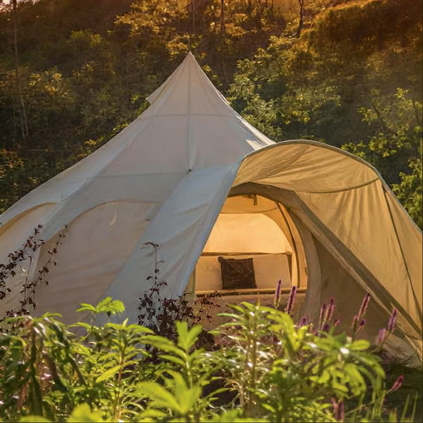 Intimes Ayahuasca Retreat