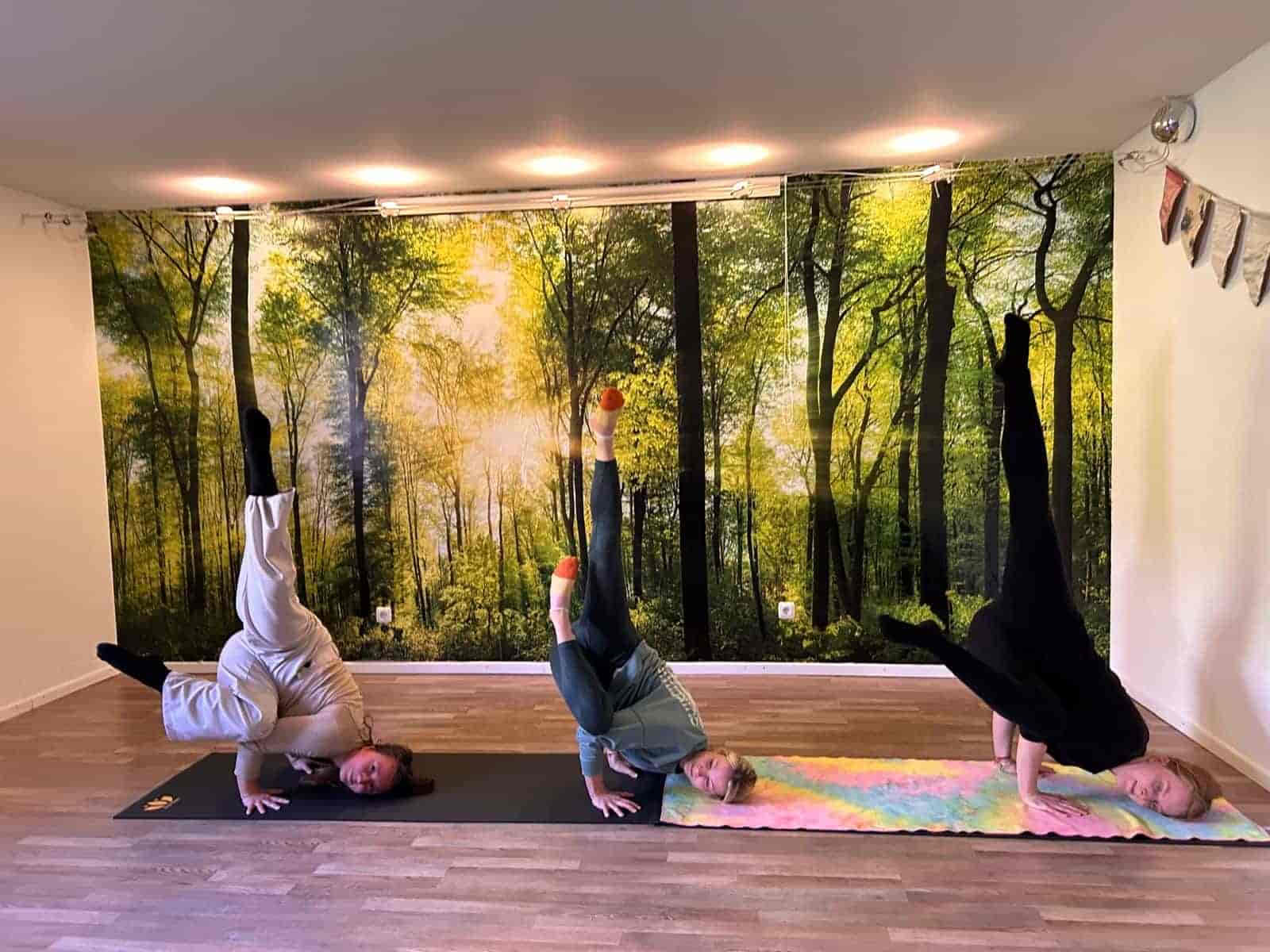 100 Stunden Arm-Balancing-Training Deutschland