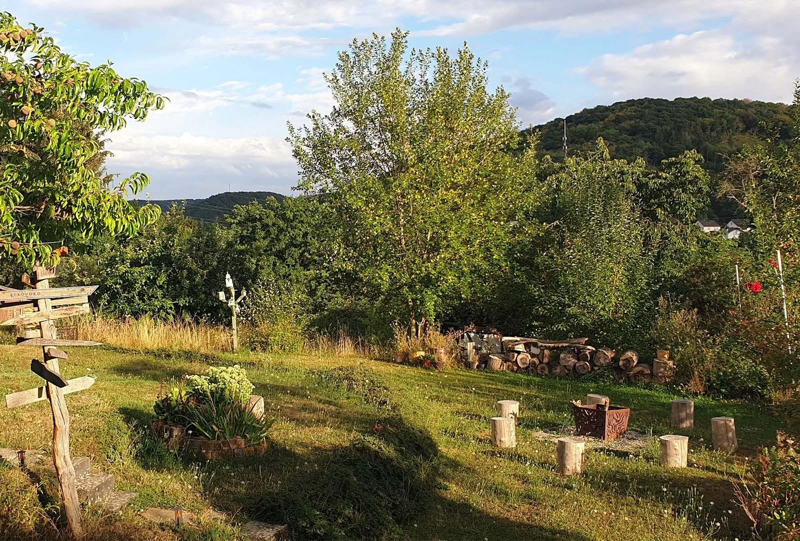 50 Stunden Pranayama Training Germany