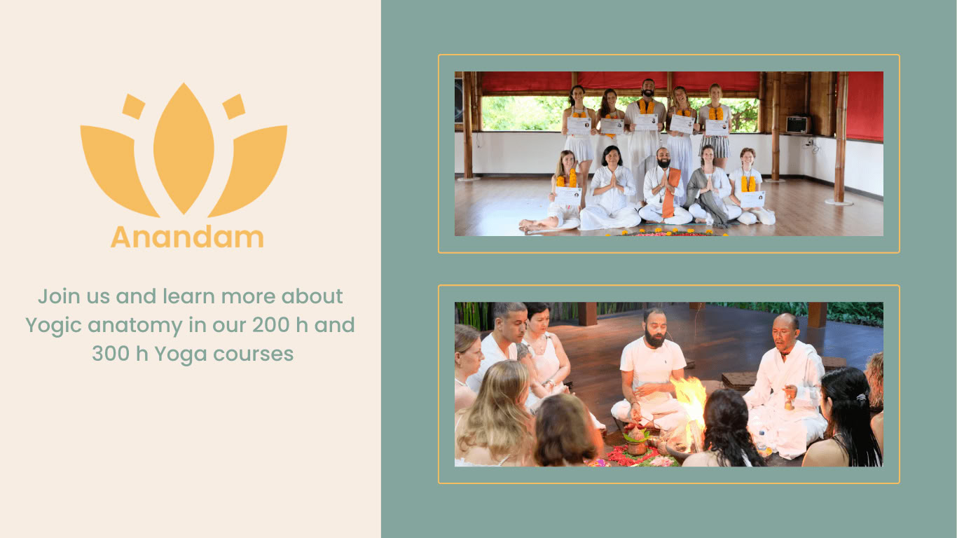 50 Stunden Pranayama Training Germany