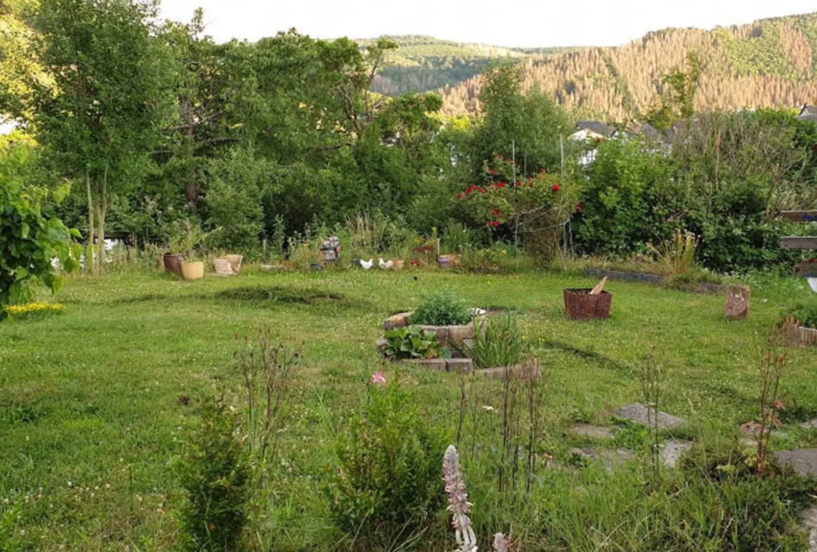 6-Tage Yoga Retreat in Heimbach, Eifel — Mai 2026