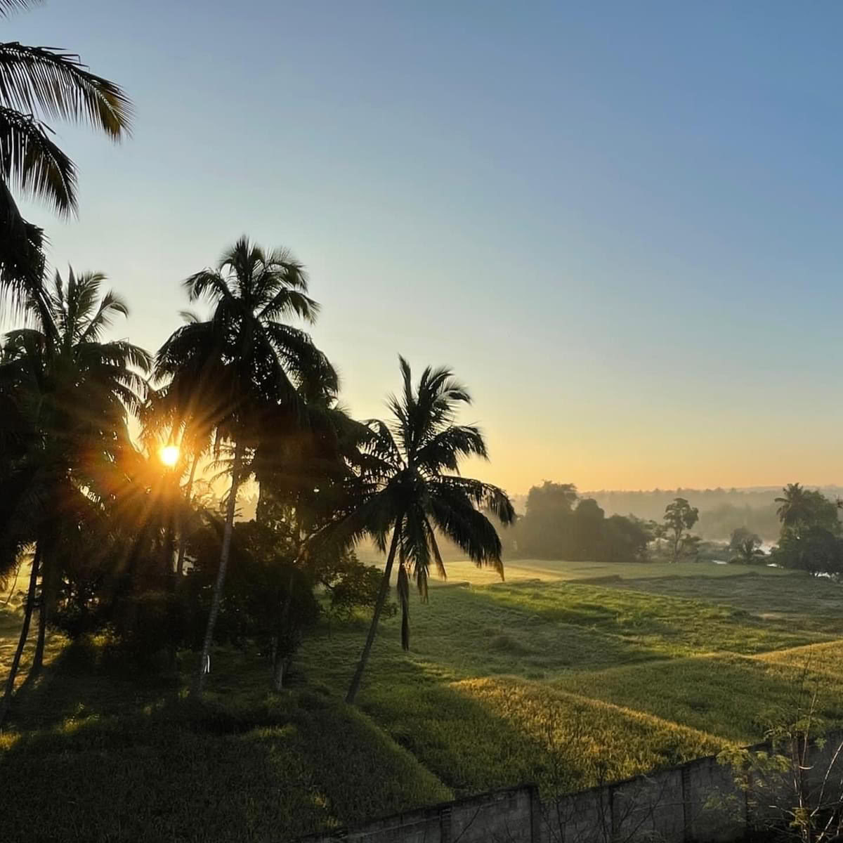 Pancha Kosha Meditations- & Entgiftungs-Retreat