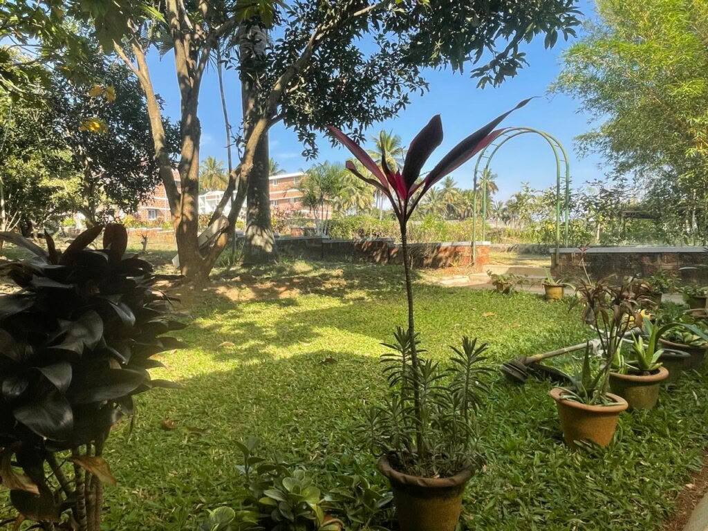 Brahma Mouna SILENCE & WELLNESS Retreat