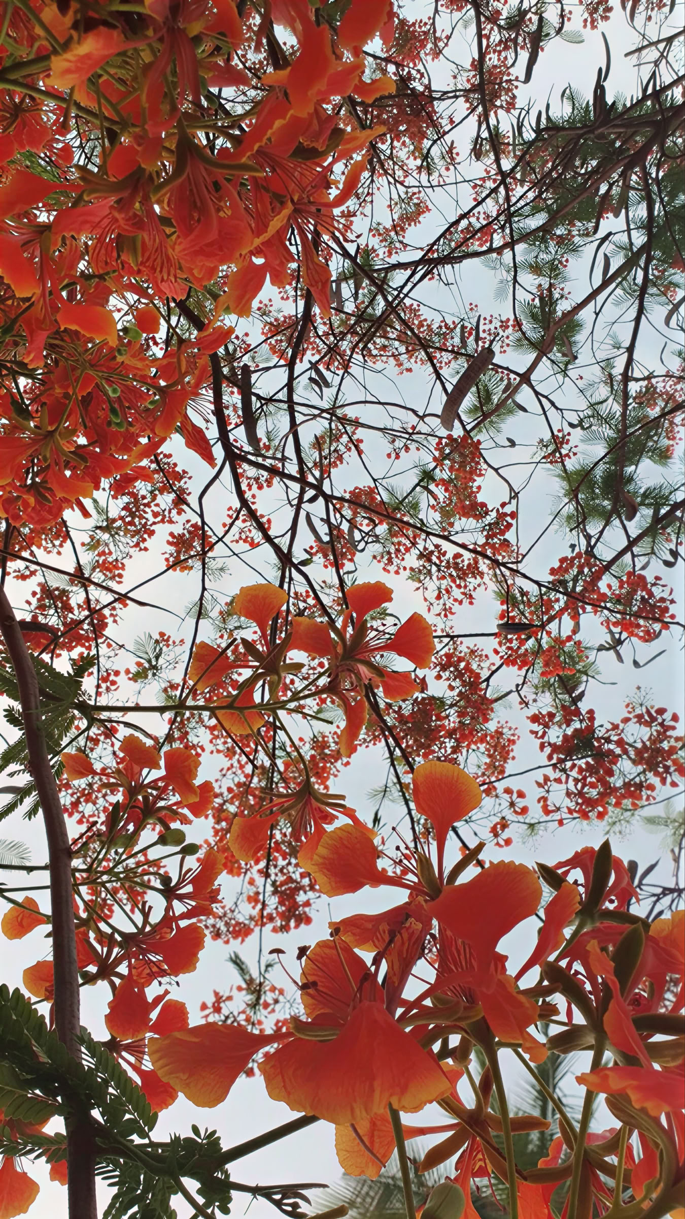 Brahma Mouna Stille & Wellness Retreat