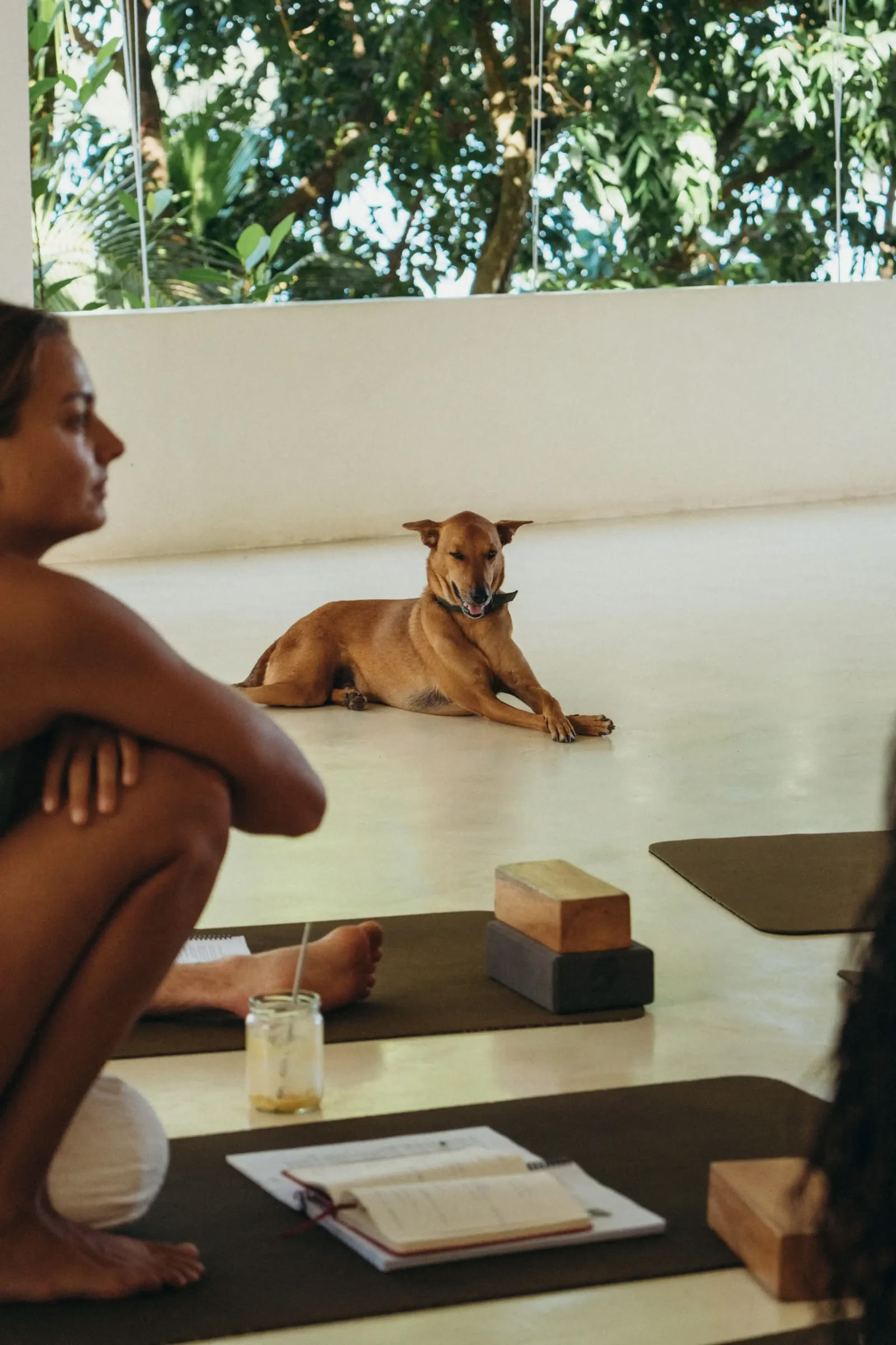 Synergy Vinyasa Yoga Retreat bei Lanka Yoga