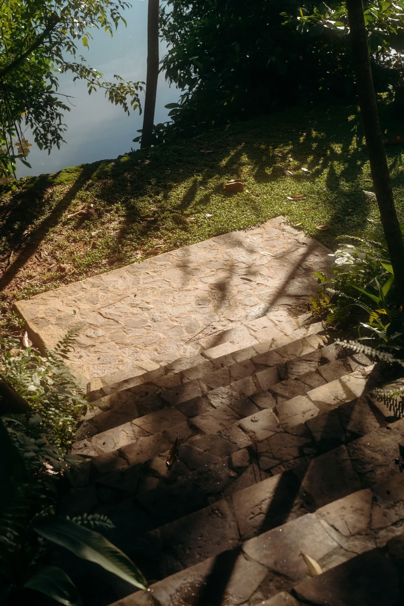 Sri Lanka Yoga Retreat mit Aaron Petty